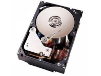 Жесткий диск IBM  DS4200 500GB SATA EV-DDM DISC 42D0389
