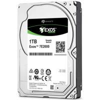 disk_Seagate_ST1000NX0313