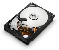 Жесткий диск Hitachi Ultrastar 1Tb 35_ 7200rpm 32Mb cache A7K2000 SATAII