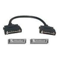 Кабель Extreme Networks Stacking Cable 30M 16108